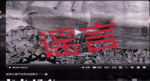 微信图片_20240722145111 微信图片_20240722145111