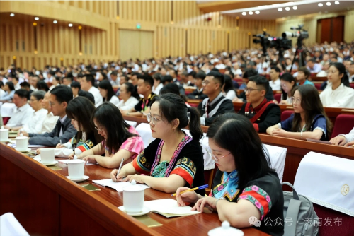 微信截图_20240809174824